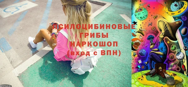 эйфоретик Вяземский
