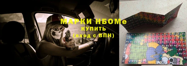 ГАЛЛЮЦИНОГЕННЫЕ ГРИБЫ Вязники