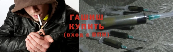 гидра Горно-Алтайск