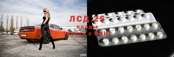 ГАЛЛЮЦИНОГЕННЫЕ ГРИБЫ Вязники