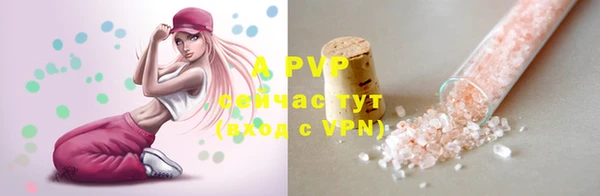 эйфоретик Вяземский