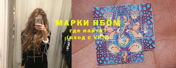 ГАЛЛЮЦИНОГЕННЫЕ ГРИБЫ Вязьма
