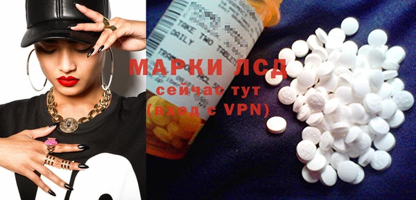 ГАЛЛЮЦИНОГЕННЫЕ ГРИБЫ Вязьма