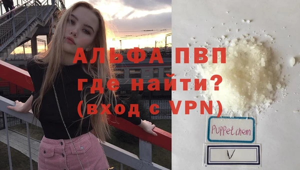 ГАЛЛЮЦИНОГЕННЫЕ ГРИБЫ Вязники