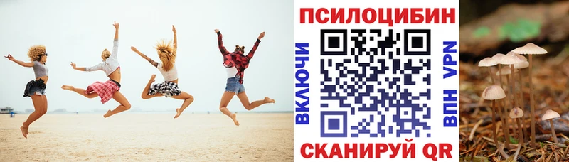 мориарти телеграм  Ельня  Галлюциногенные грибы GOLDEN TEACHER 